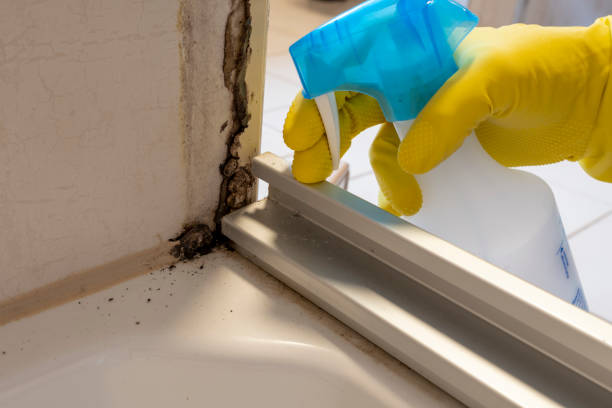Best DIY Mold Remediation Support Services in Gberts, IL