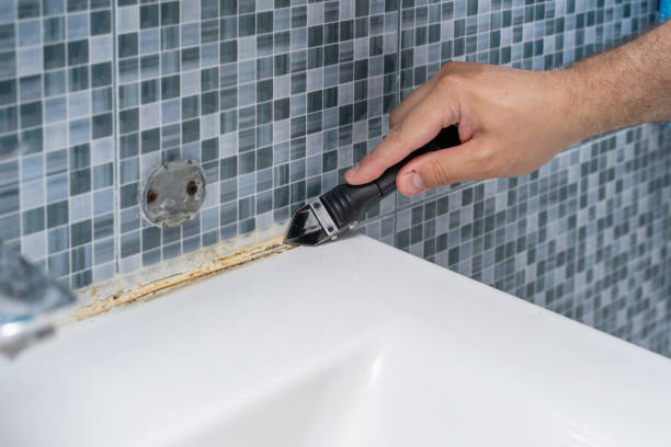 Best Emergency Mold Remediation in Gberts, IL