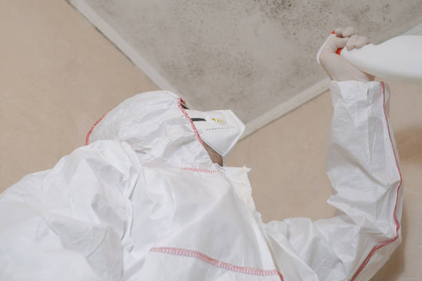 Best Commercial Mold Remediation in Gberts, IL
